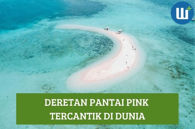 Deretan Pantai Pink Tercantik di Dunia